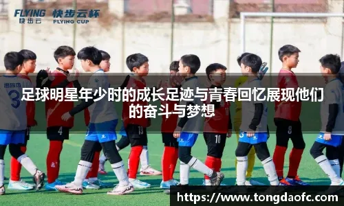 记者：水晶宫引进莱斯特城前锋埃尔哈努斯的交易破裂