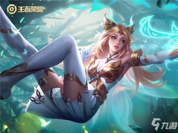 申报程序不 申报程序不